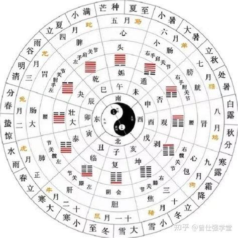 交卦|《易经》全文64卦翻译及图解